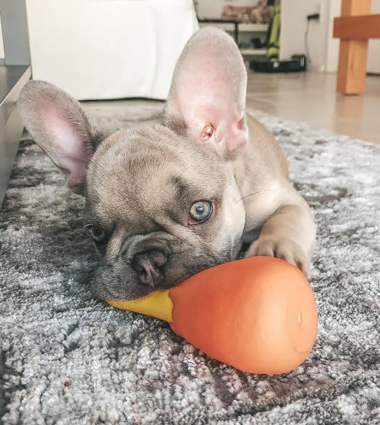 LULU